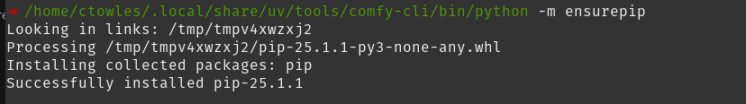 Fixing pip installation in ComfyUI environment